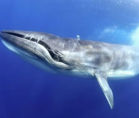 Tenerife Da Sogno Апартаменты